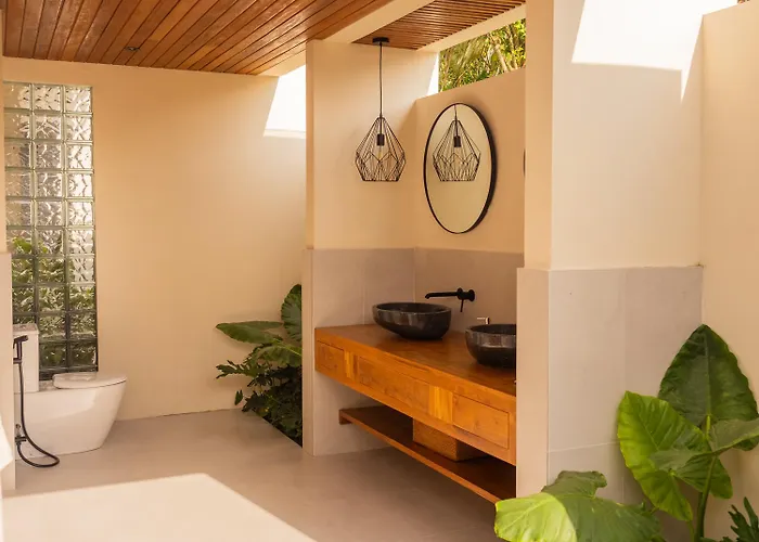 Sun Soul - Brand New 2bed W Rice Field View Villa Ubud (Bali)