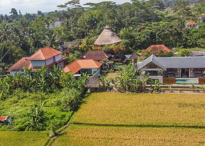 Sun Soul - Brand New 2bed W Rice Field View Villa Ubud (Bali)